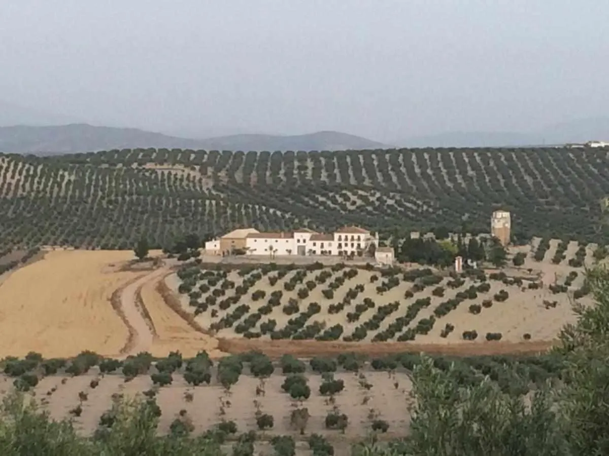 Cortijo Cabanas Apartamentos Rurales Arjona 0*,  스페인