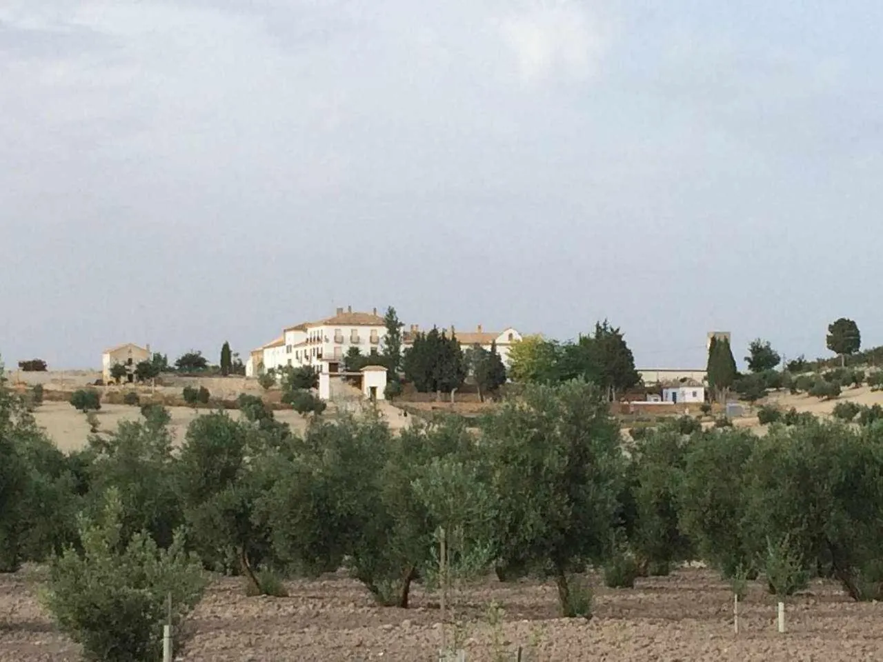 Apartment Cortijo Cabanas Apartamentos Rurales Arjona Spain